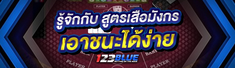รู้จักกับ สูตรเสือมังกร